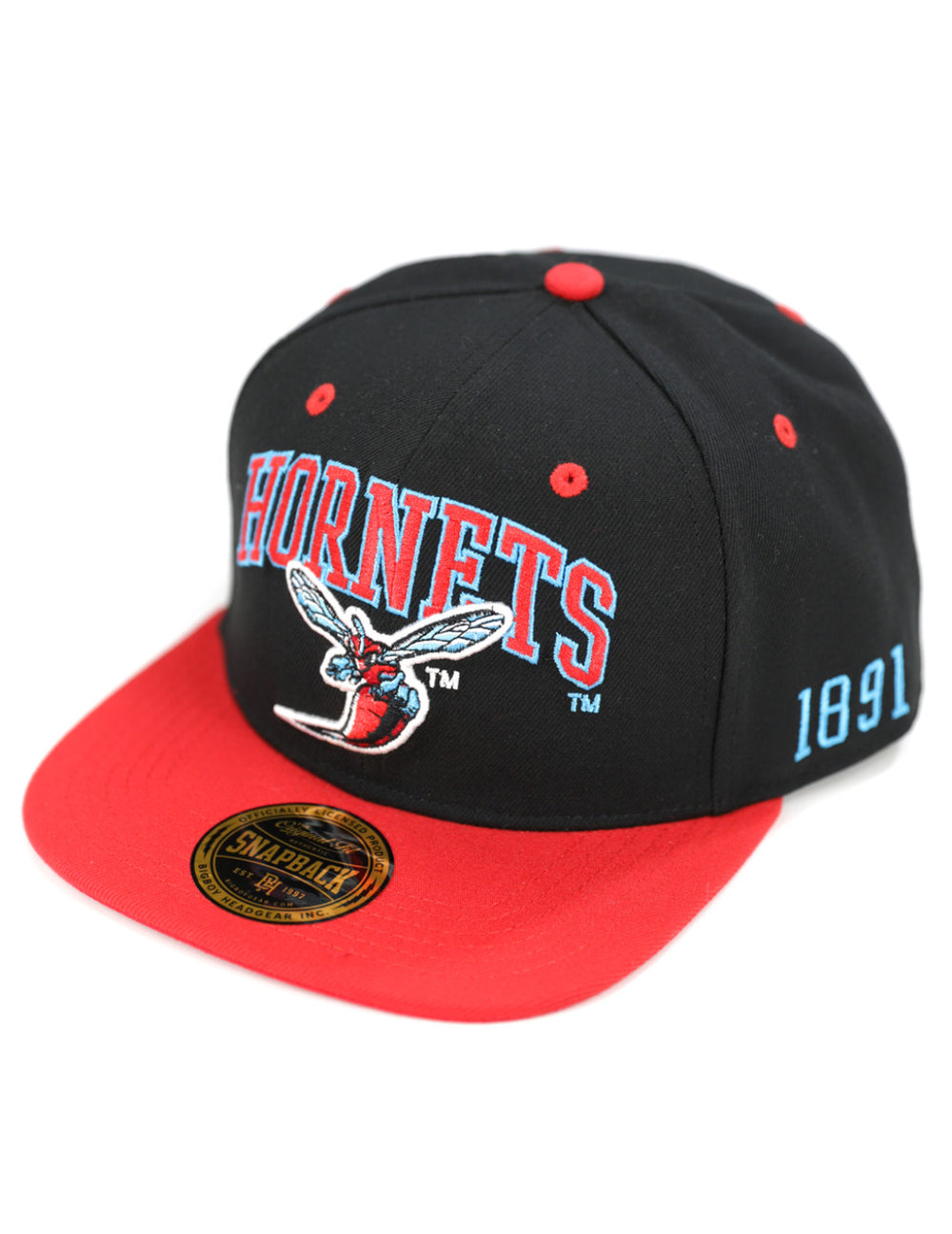 Delaware State Snapback