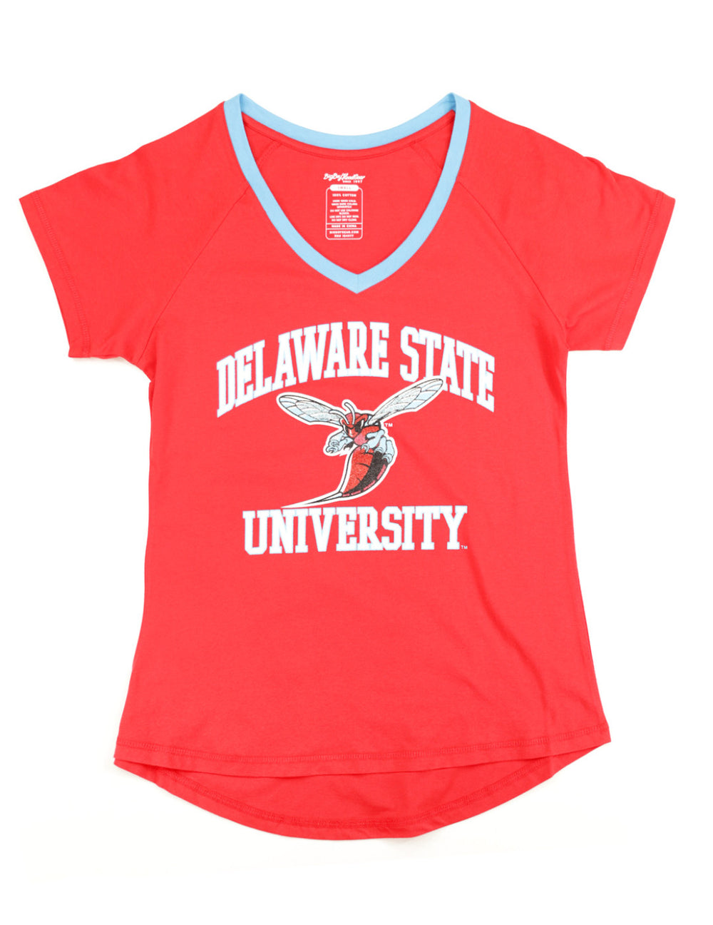 Delaware State V-Neck Shirt