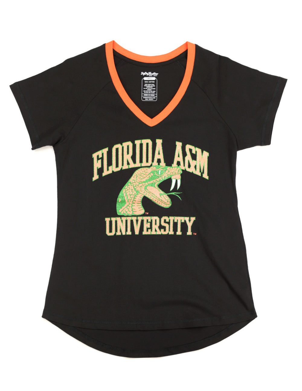 FAMU V-Neck Shirt