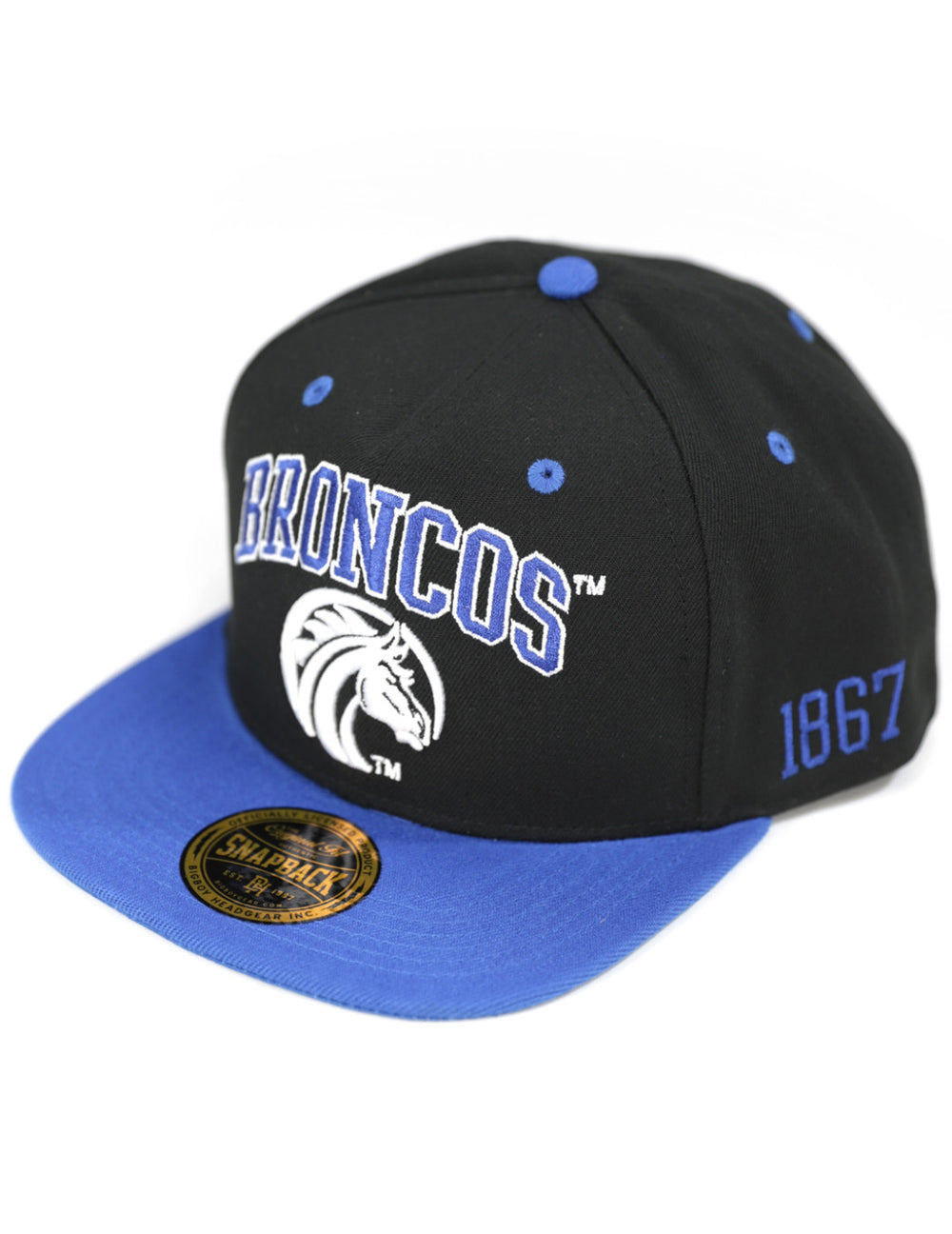 Fayetteville State Snapback