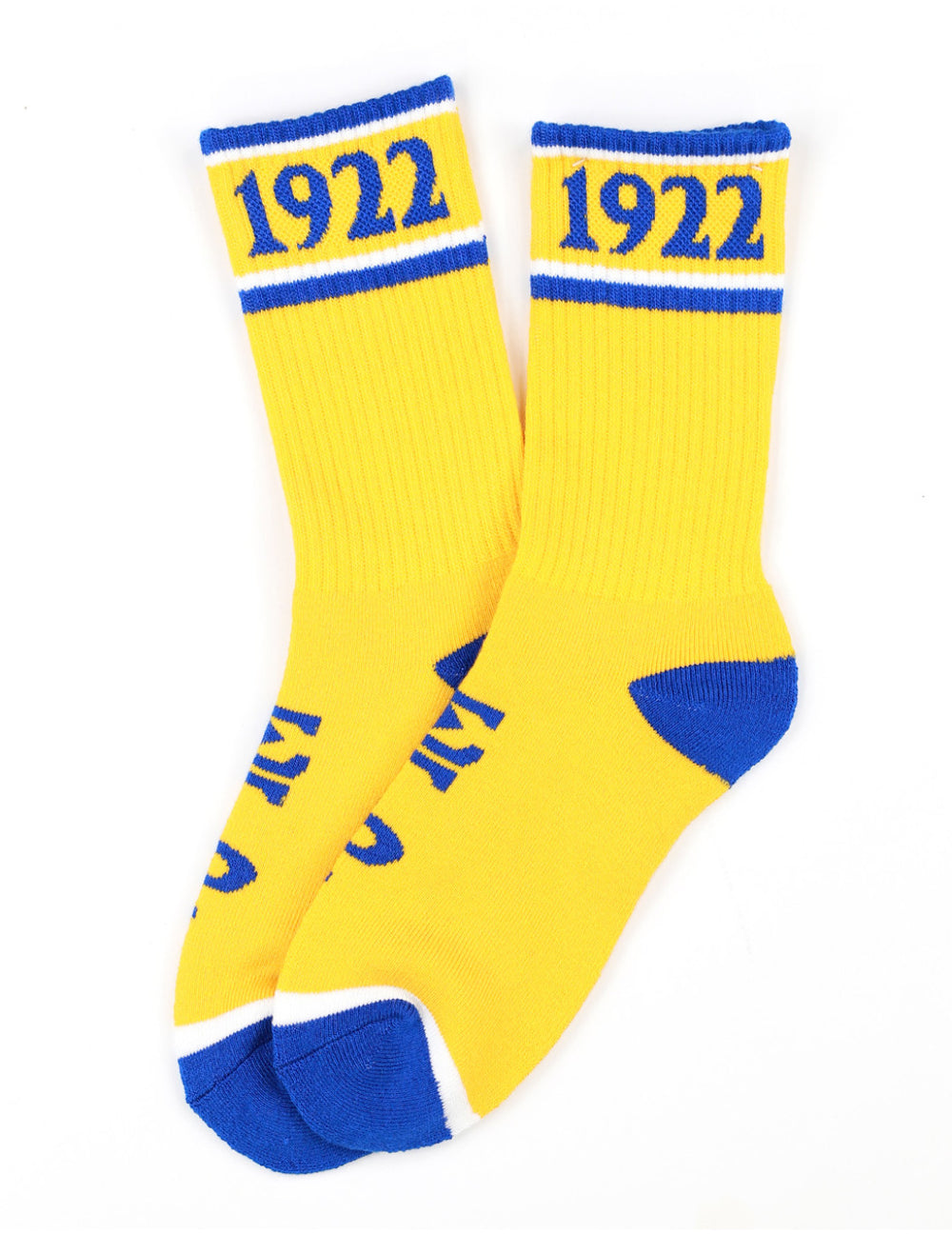 SGRho Year Crew Socks