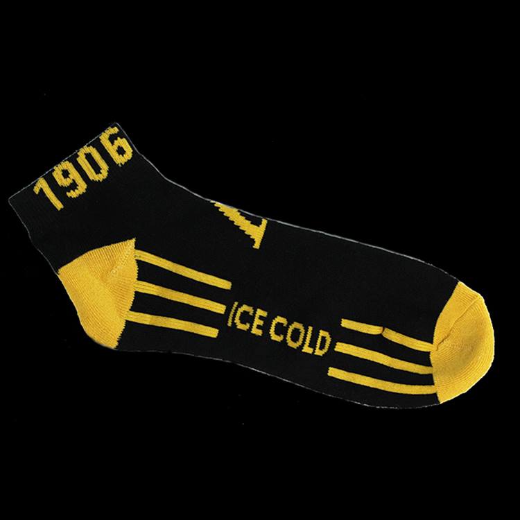 Alpha Ankle Socks