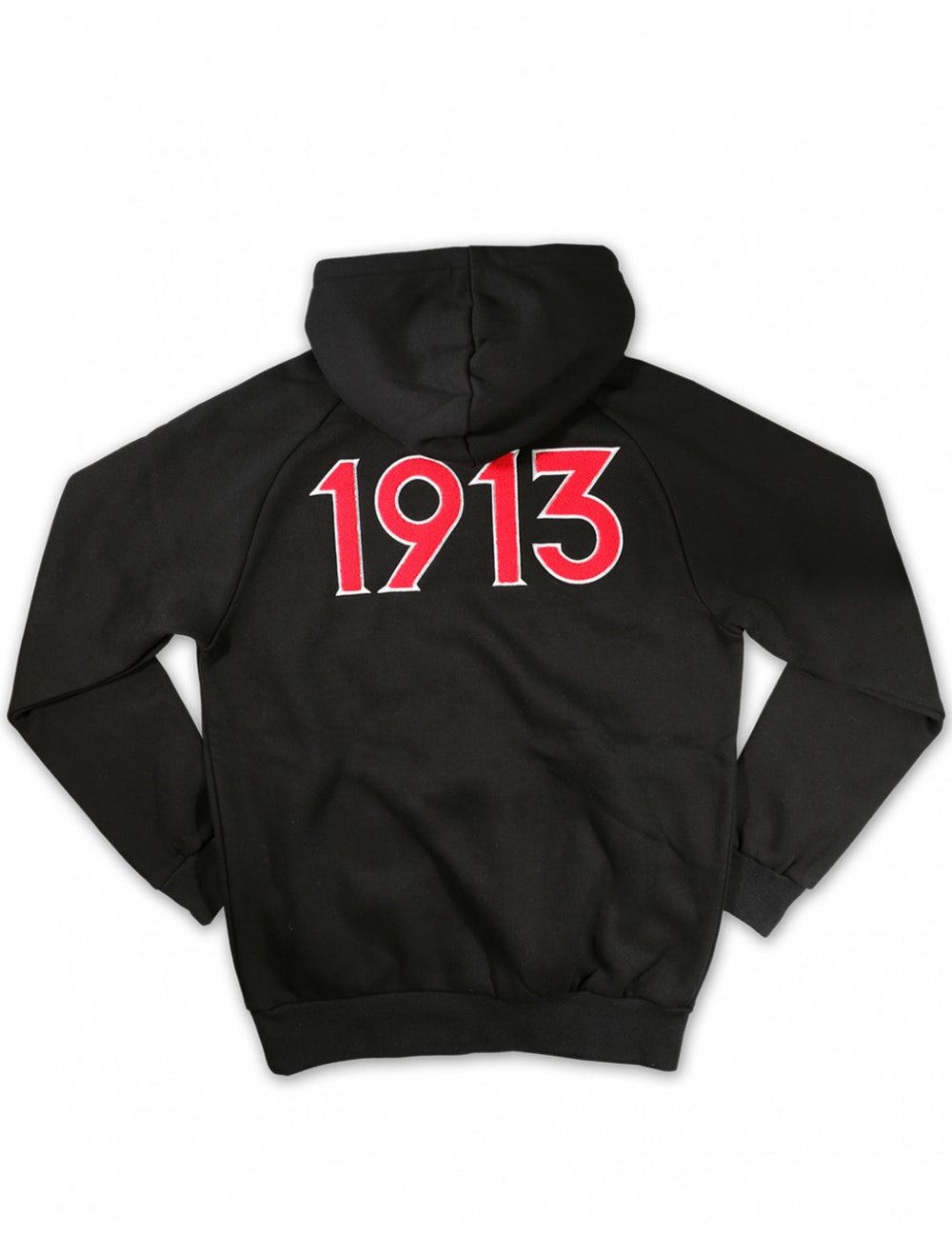 DST Chenille Hoodie