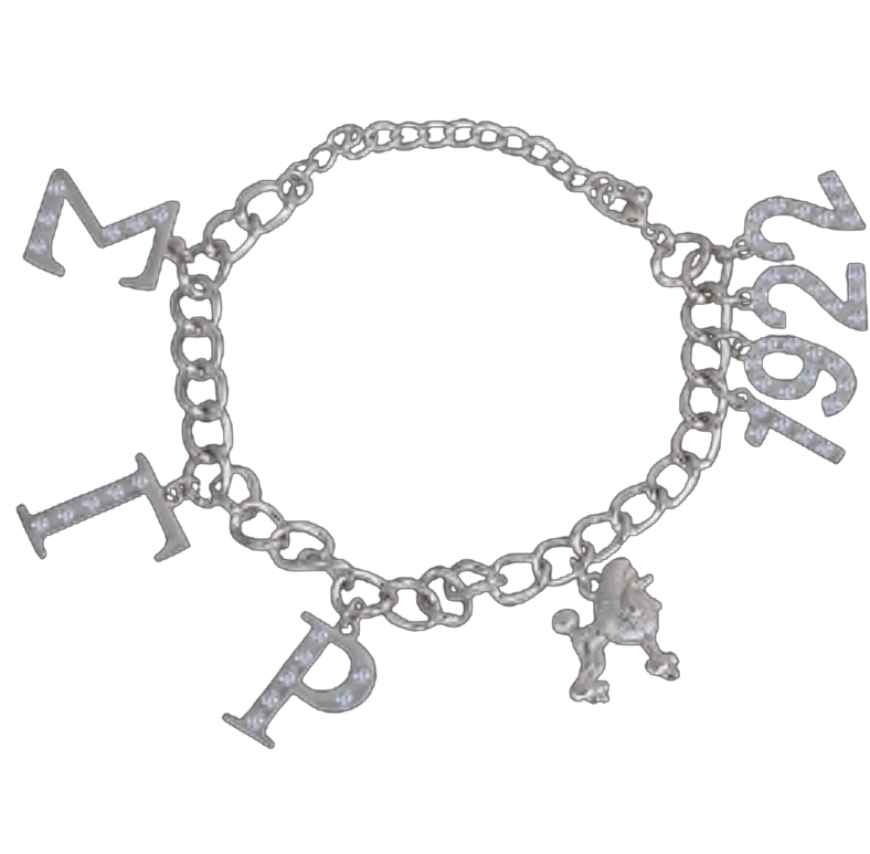 SGRho Rhinestone Charm Bracelet