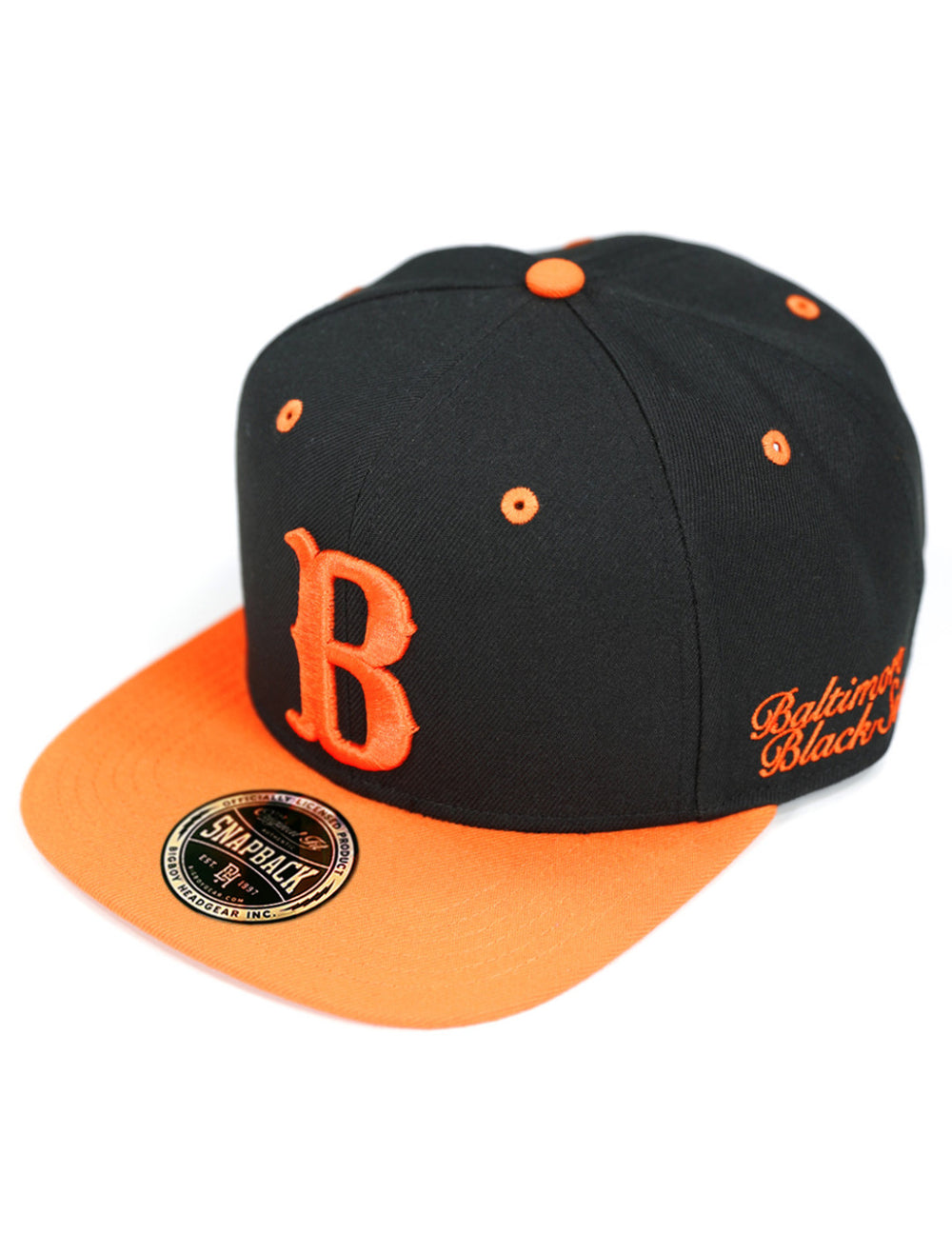 NLBM Team Snapback