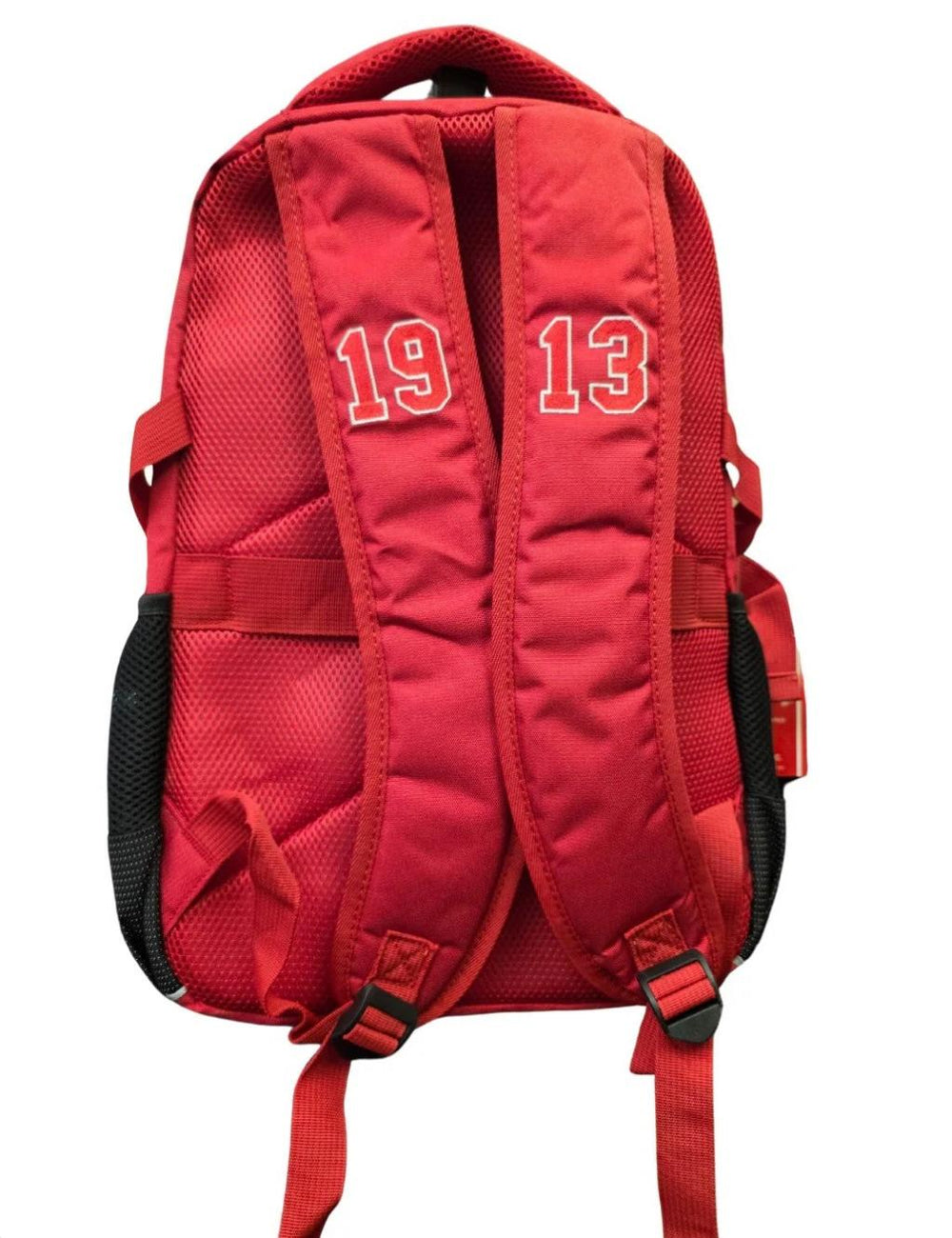 DST Deluxe Back Pack