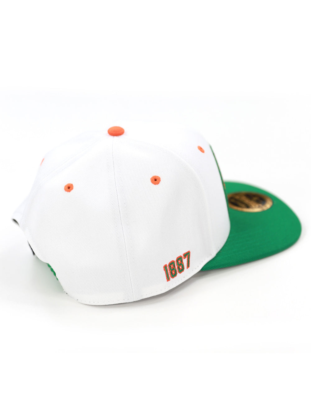 FAMU Snapback