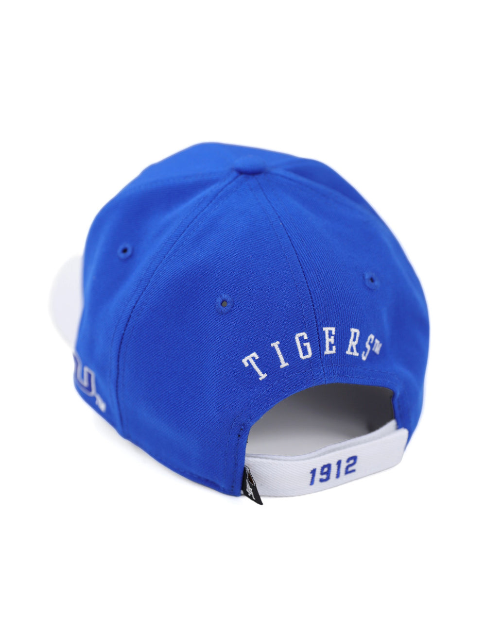 Tennessee State Cap