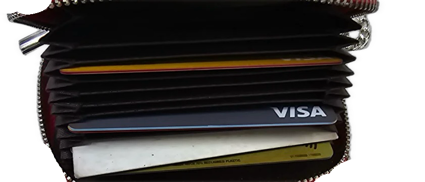 SGRho Credit Card Case