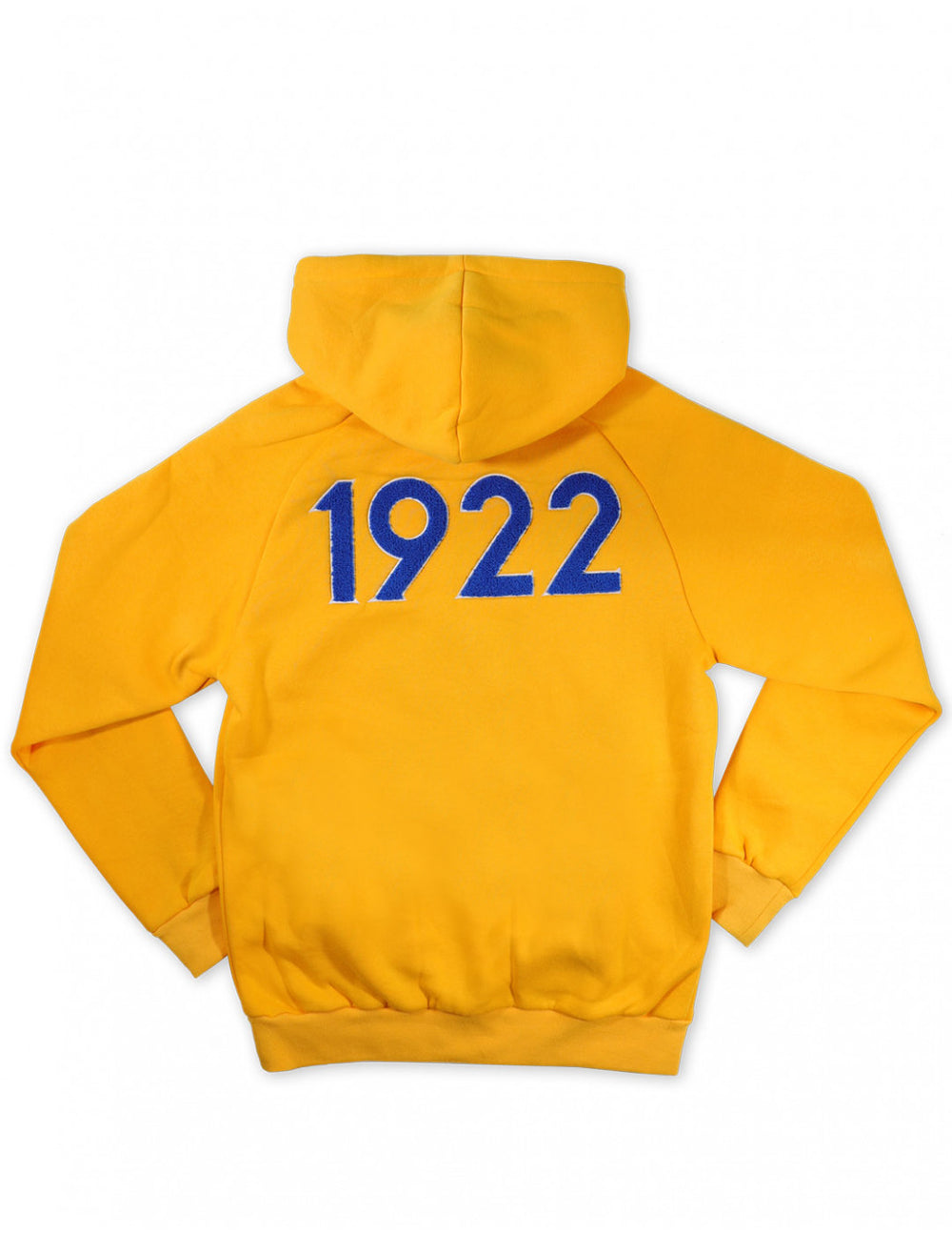 SGRHO Chenille Hoodie